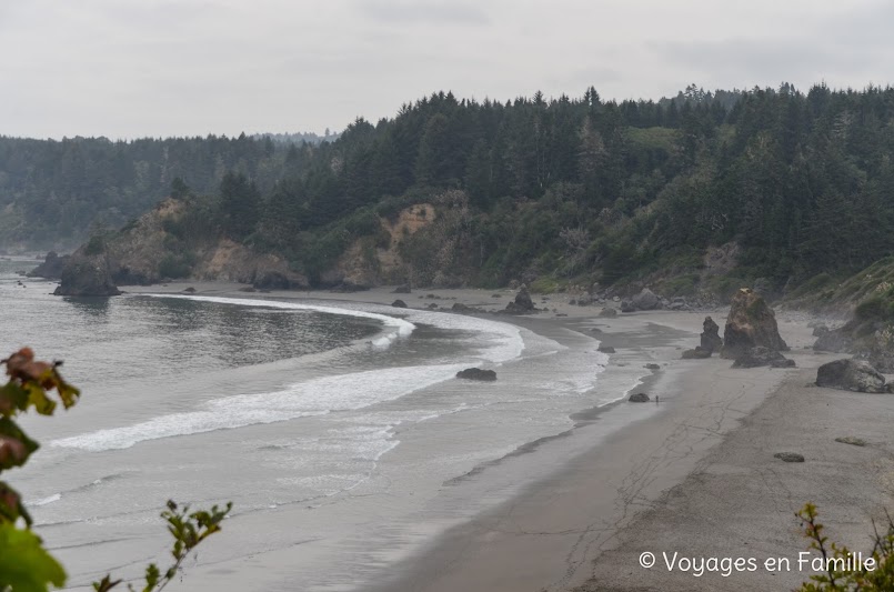 Heceta Head