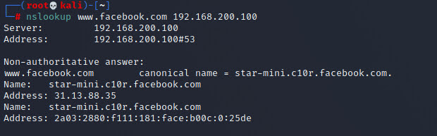 On Client, ping website to get DNS service from FortiGate.