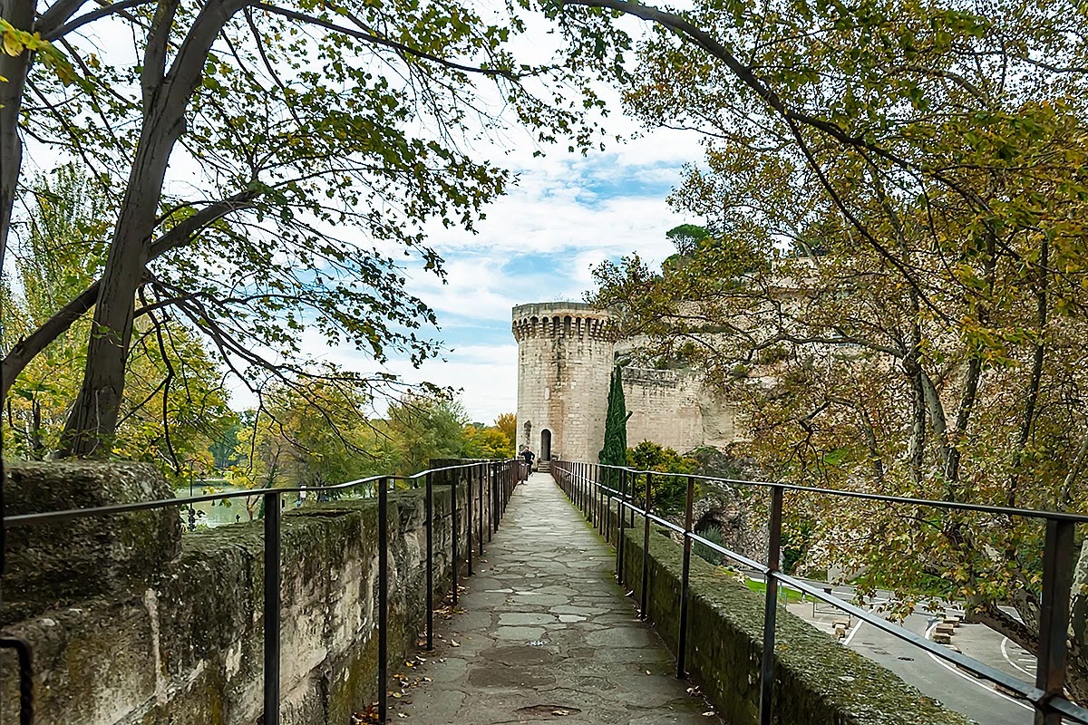 Avignon, Franța