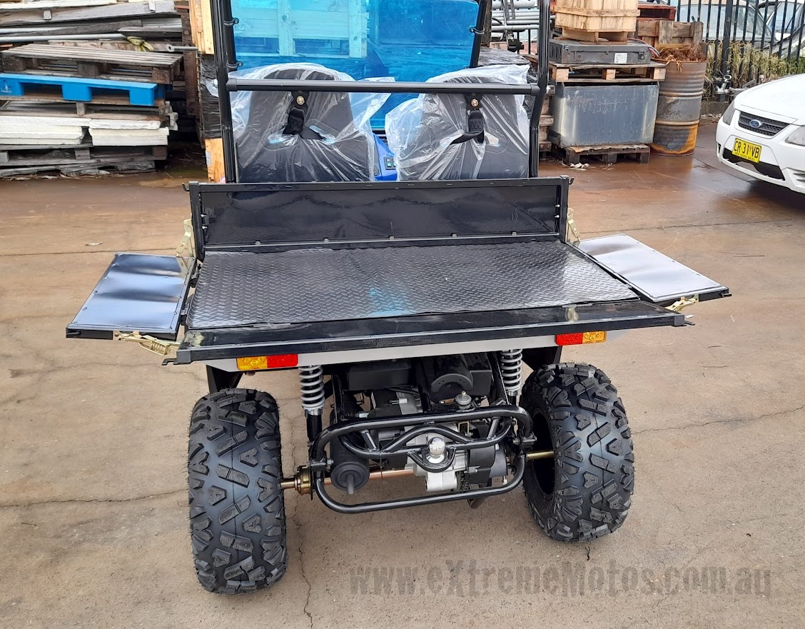 170cc 175cc Farm UTV Buggy 2WD EFI Side by Side Utility Vehicle