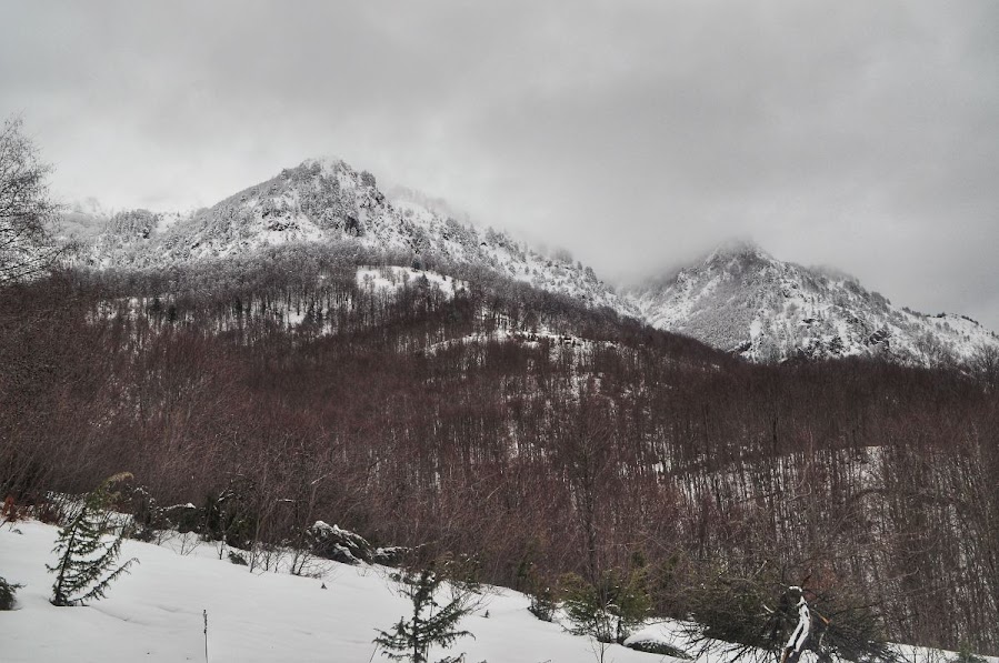 Snow covered fields, trees and mountains in Vermosh Valley, Shkoder County, Albania in the winter
