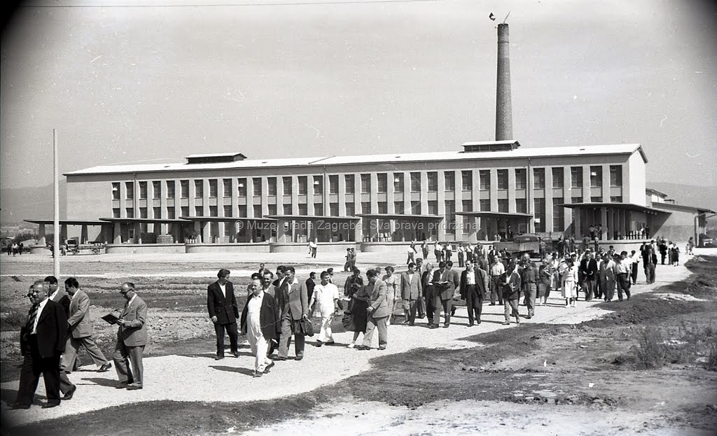 Slike nekadanjeg Zagreba AL9nZEWX9Z85VSCcEkCPUEGr-s_jwZLlGFSIuNn60kOwc3bbXUWbWQi_dTQtvs16FuP6y9O9jdjByweFdxjDh8z36EngoOr1SDRbHOchxSgtQwodjPZeaMrtVuNvJ0NMiliNtXtn0xj53qhVbE_uAWw9Yu0fuQ=w1024-h623-no?authuser=0