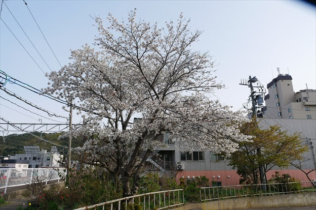 青い森鉄道