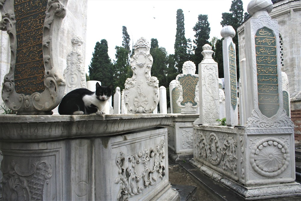 23/10 ESTAMBUL: Mezquita Rustem Pasa, Barrio Eyup, Torre Galata y Danza Derviche - Turquía y dos de sus perlas: la Capadocia y Estambul (34)