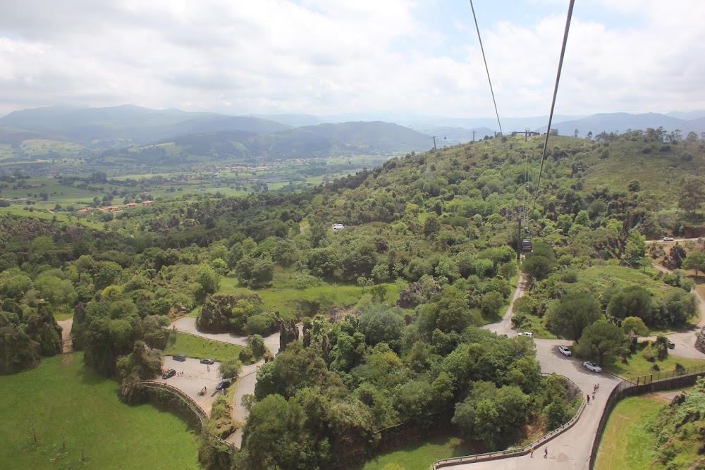 La Tierruca de Cantabria - Blogs de España - JUEVES 24/06: PARQUE DE LA NATURALEZA DE CABARCENO (6)