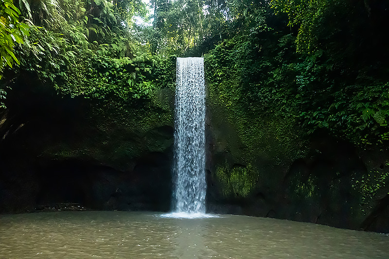 Vacanta bali