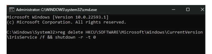 Type the following command and press the Enter key: reg delete HKCU\SOFTWARE\Microsoft\Windows\CurrentVersion\IrisService /f && shutdown -r -t 0