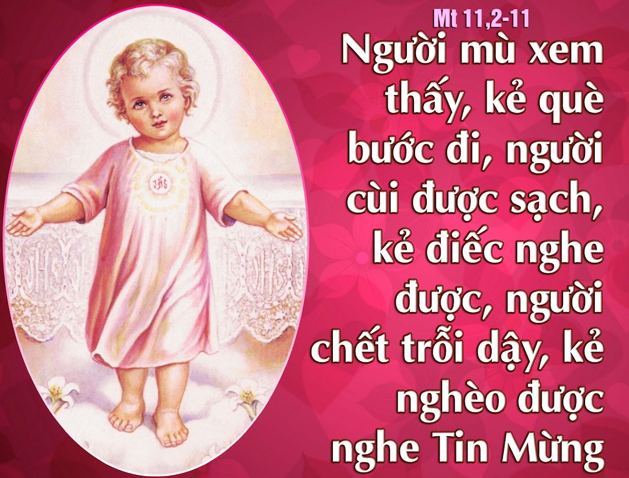 Bài hát và Suy niệm (16.12.2019 – Chúa Nhật III Mùa Vọng năm A)
