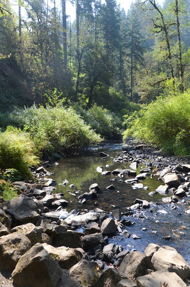 Silver Falls SP - North Fork Creek