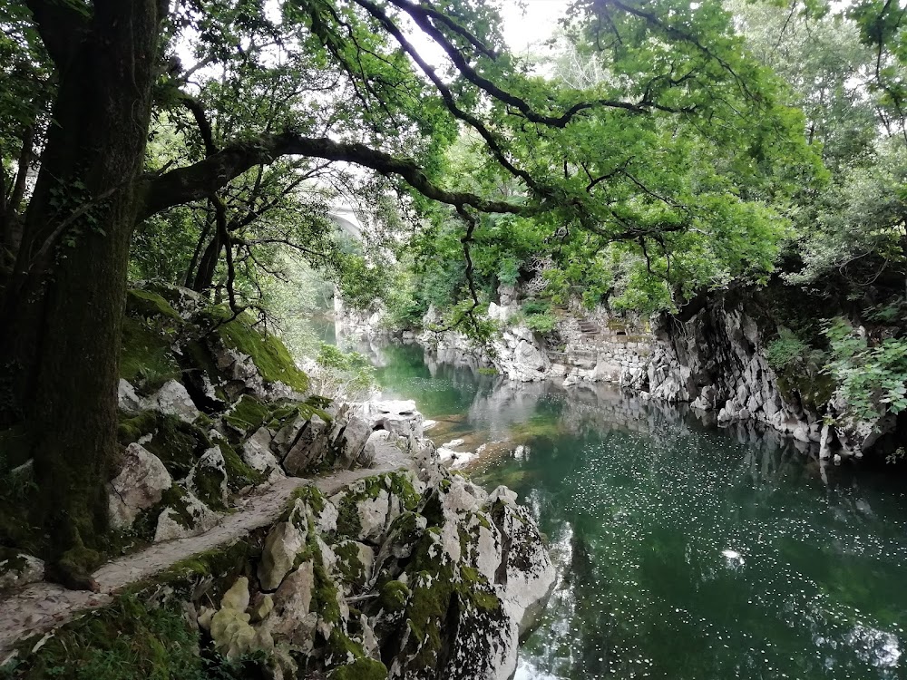 Viaje por Cantabria: ¿Una o más bases? Elegir la mejor zona - Foro Cantabria