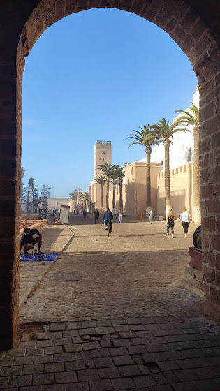 Марокко: кошки Эссуэйры, Марракеша, Айт-Бен-Хадду, Уарзазата и Агадира.