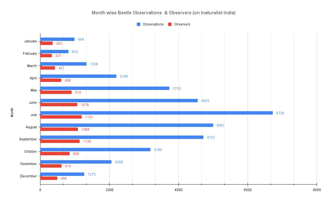 Month Wise - Beetle Observations & Observers on iNaturalist