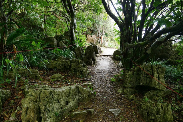 大石林山