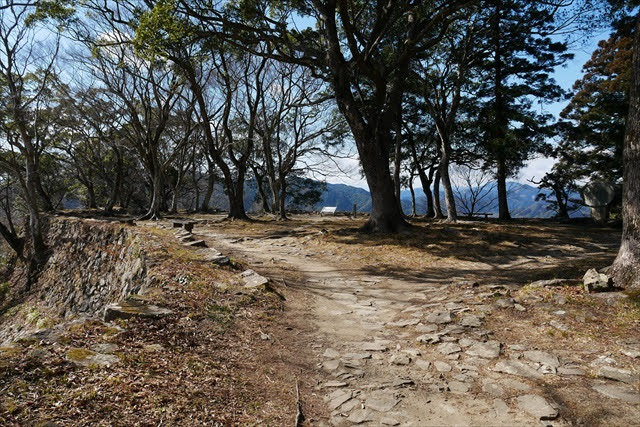 佐伯城跡