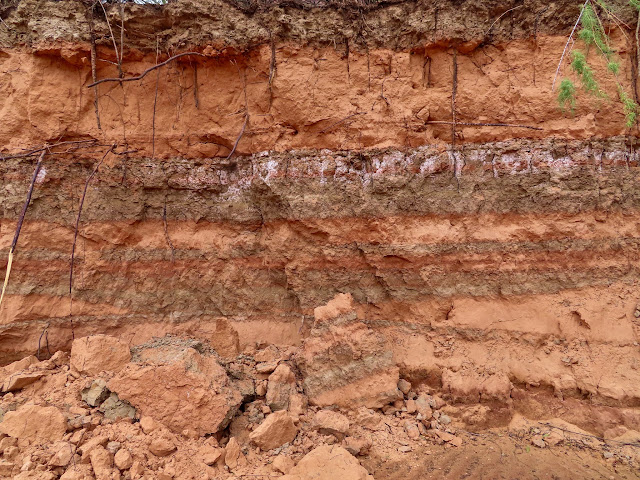 Alternating layers of river (gray) and canyon (red) sediments