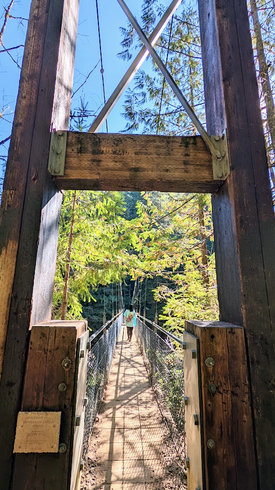 Drift Creek Waterfall and Suspension Bridge, by Oregon Coast