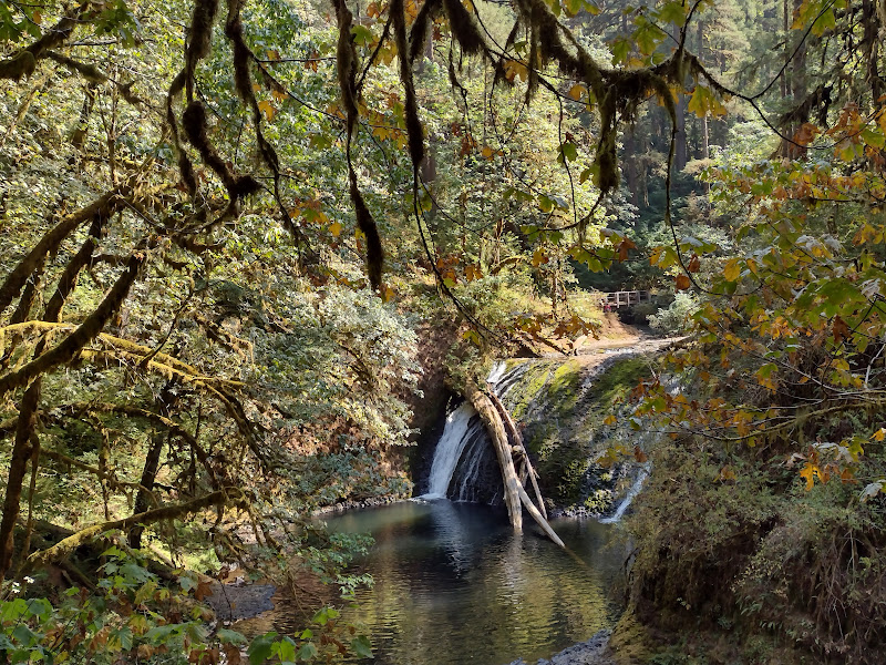 SIlver Falls SP - Lower North Falls