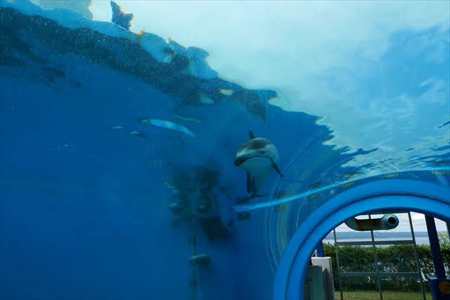 のとじま水族館