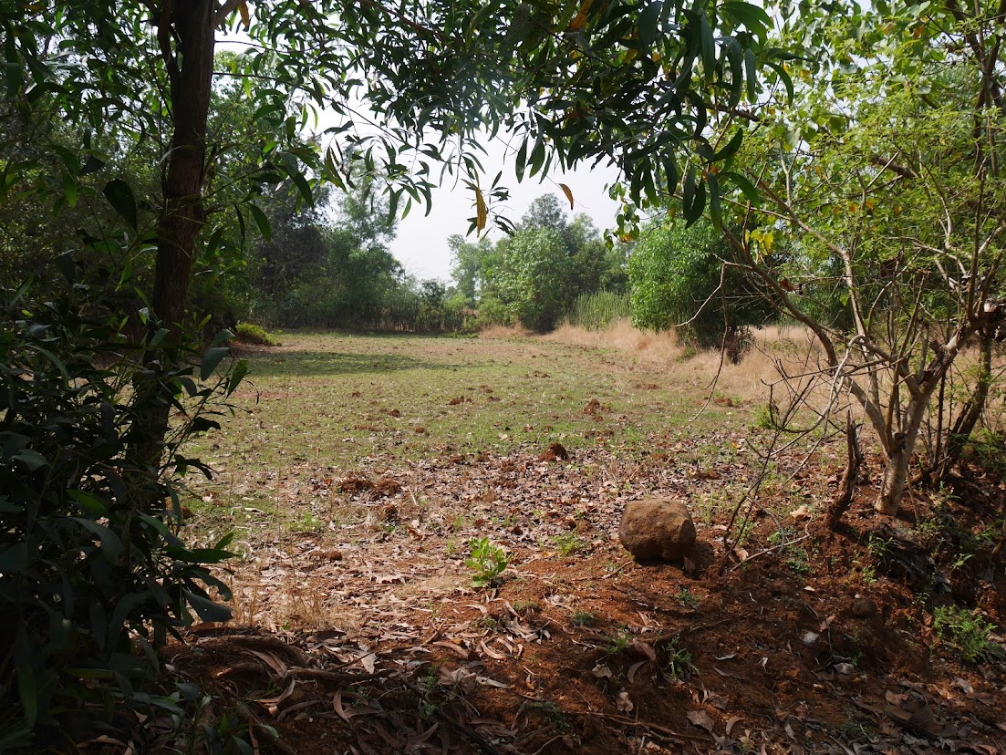 Farm