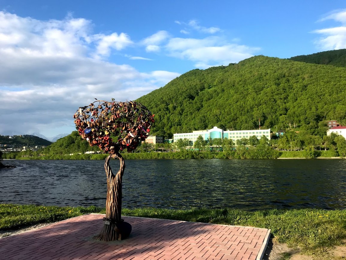 Lovelock tree by the shore of Kultuchnoye Lake lenin square petropavlovsk