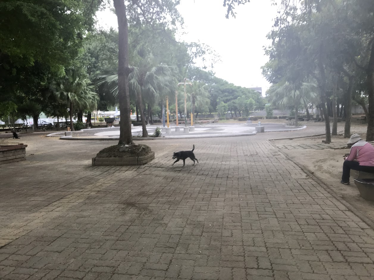 ［嘉義水上］南靖糖廠休閒賣場~位於南靖火車站對面，園區內很多