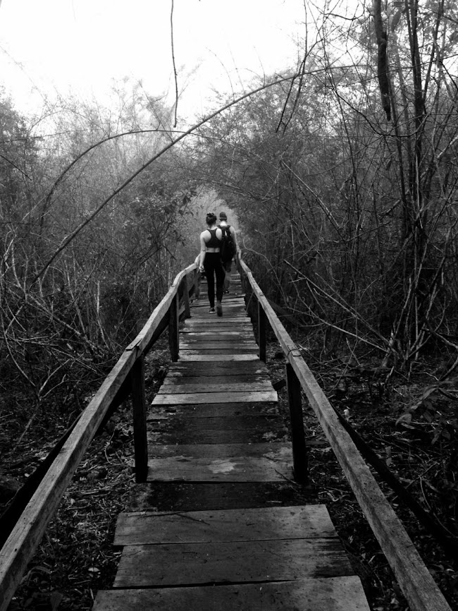 hiking in cat tien national park 