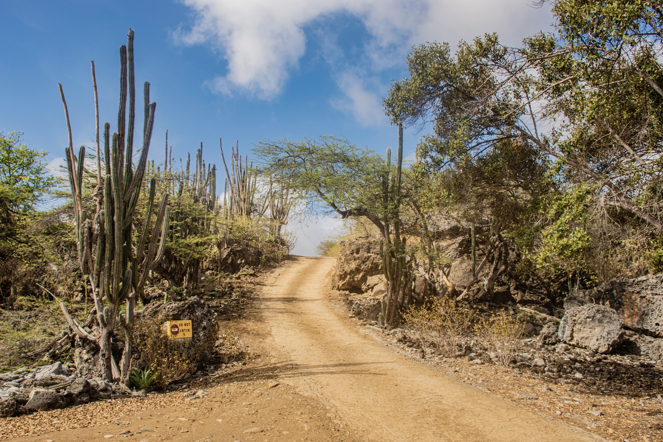 wegen-op-Bonaire