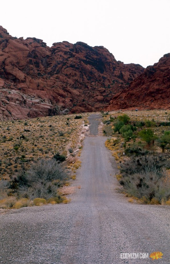 Into The Canyon