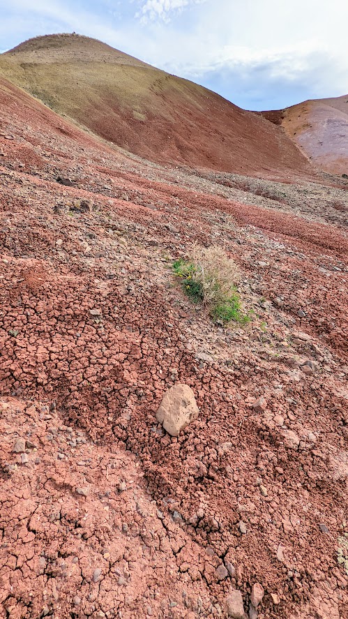 Guide to Visiting the Painted Hills - visiting the Painted Cove trail area gives you up close look at the colors of the soil making up the Painted Hills