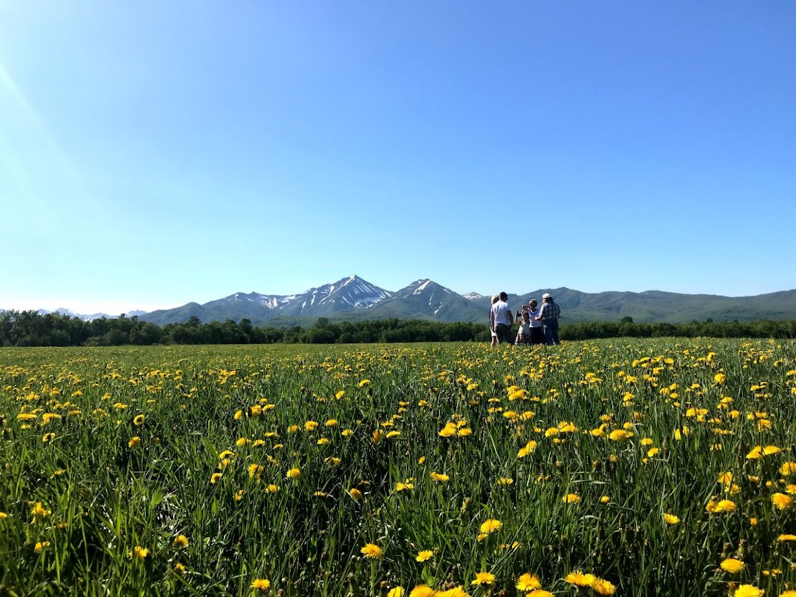 Beautiful plains on the way to termalnyy springs kamchatka 