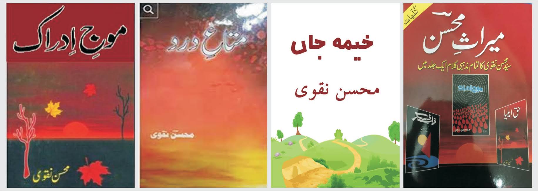 mohsin books