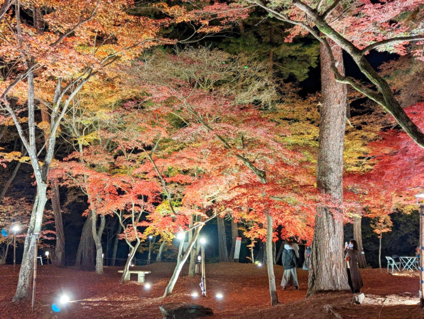 長瀞「月の石もみじ公園」ライトアップ