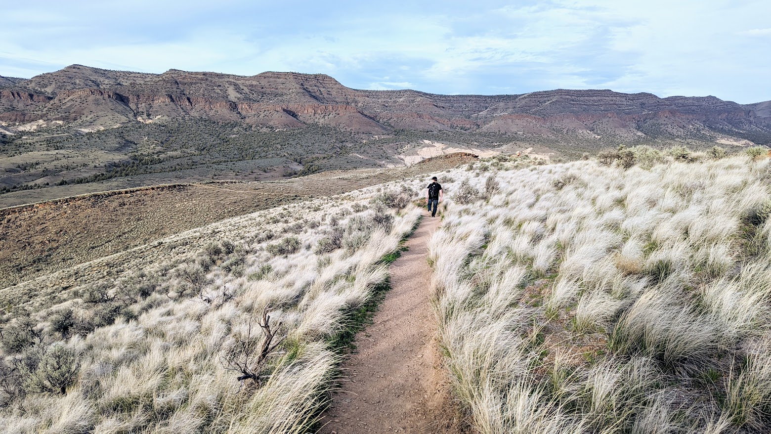 Guide to Visiting the Painted Hills - example view from The Carroll Rim Trail