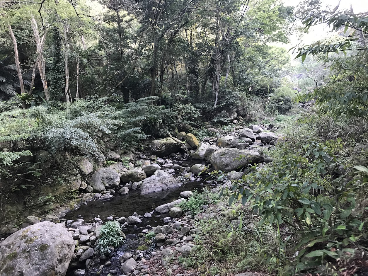 ［苗栗南庄］四十二份湧泉自然生態步道~一個簡單的小園區，可以