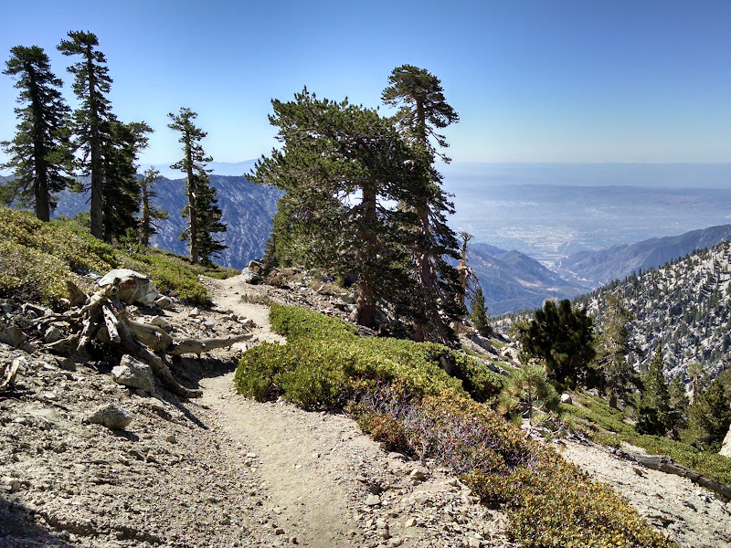 Mount Baldy • Ski Hut Trail