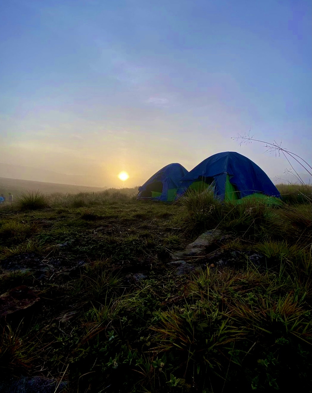 Gawarawila Plains