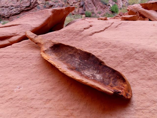 Prehistoric wooden scoop