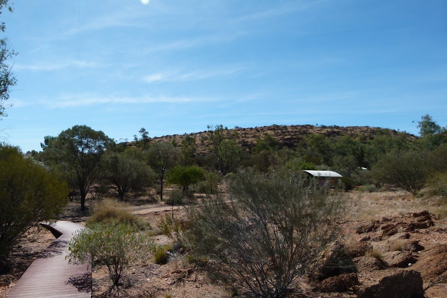 Alice Springs Botanic Gardens