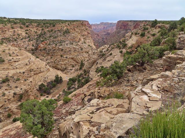 View down Good Water Canyon