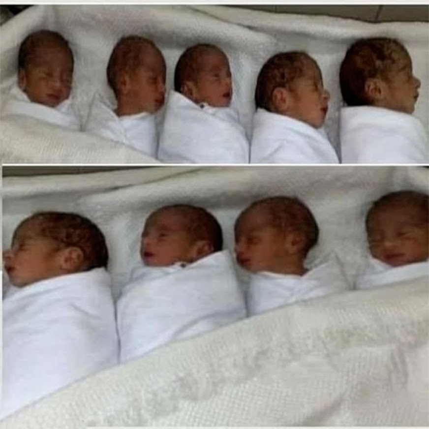 A 26-Year-Old Woman Sets A New Record In Monaco By Giving Birth To 9 Children