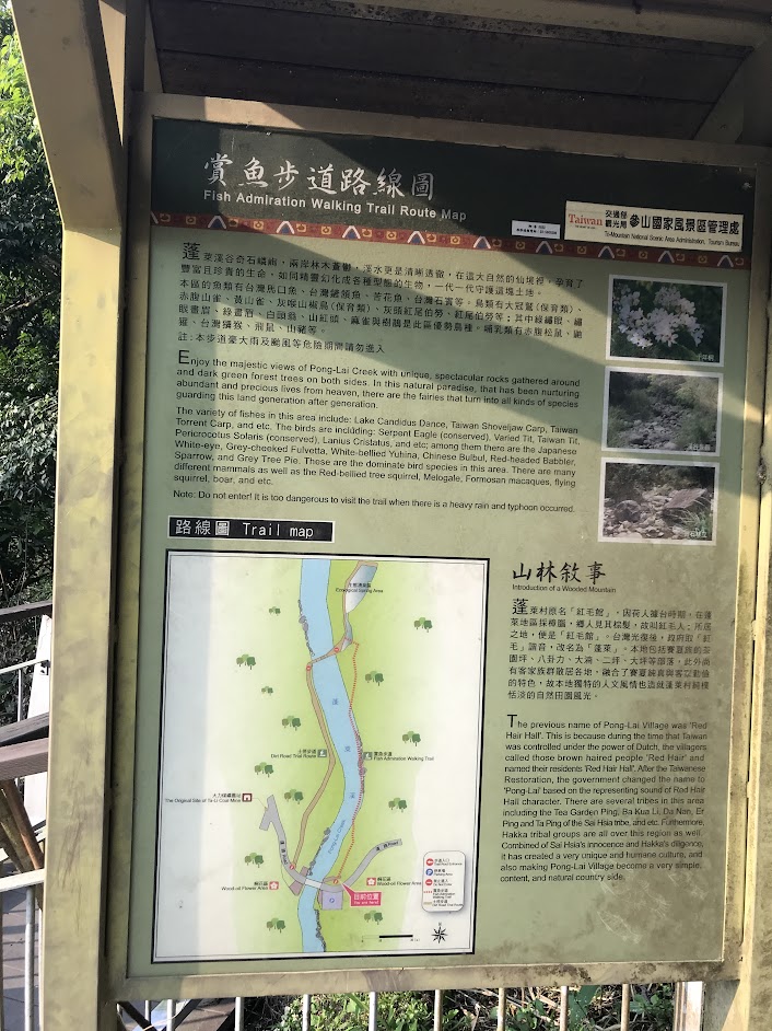 ［苗栗南庄］四十二份湧泉自然生態步道~一個簡單的小園區，可以