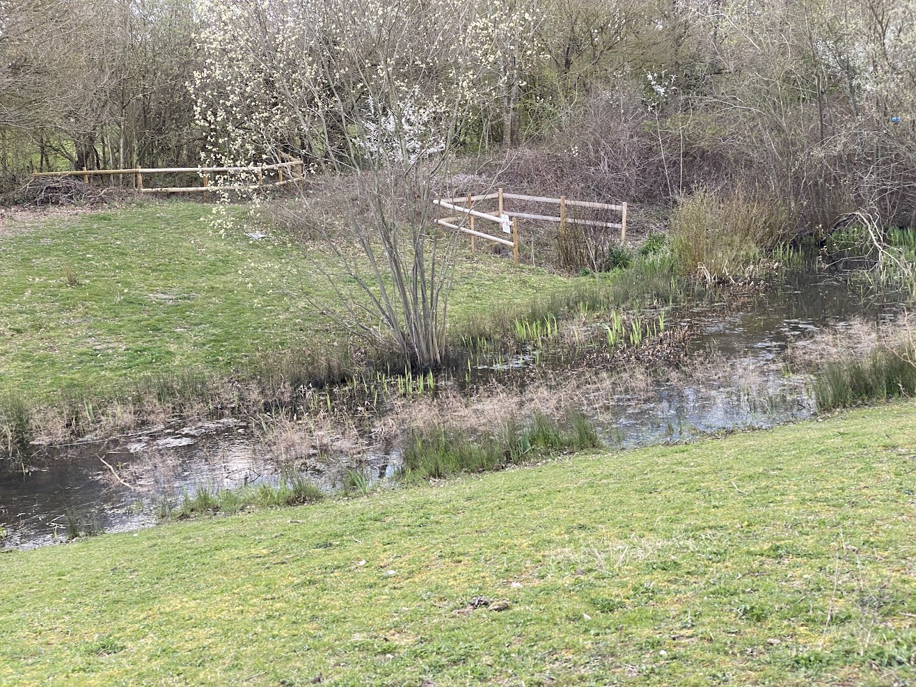 Kiln Field Nature Reserve Tenterden