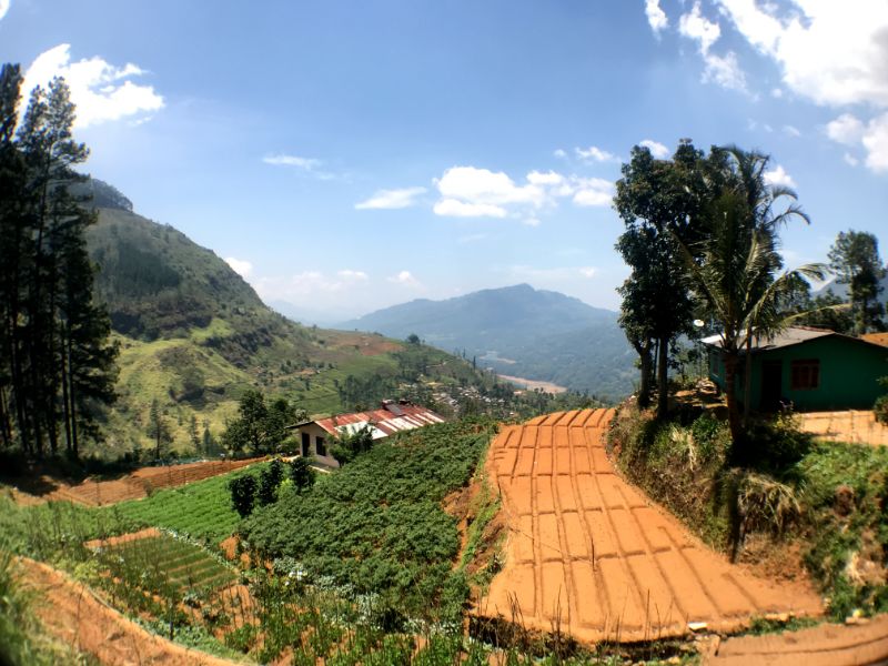 Beautiful view along the way to Nuwara Eliya from Kandy