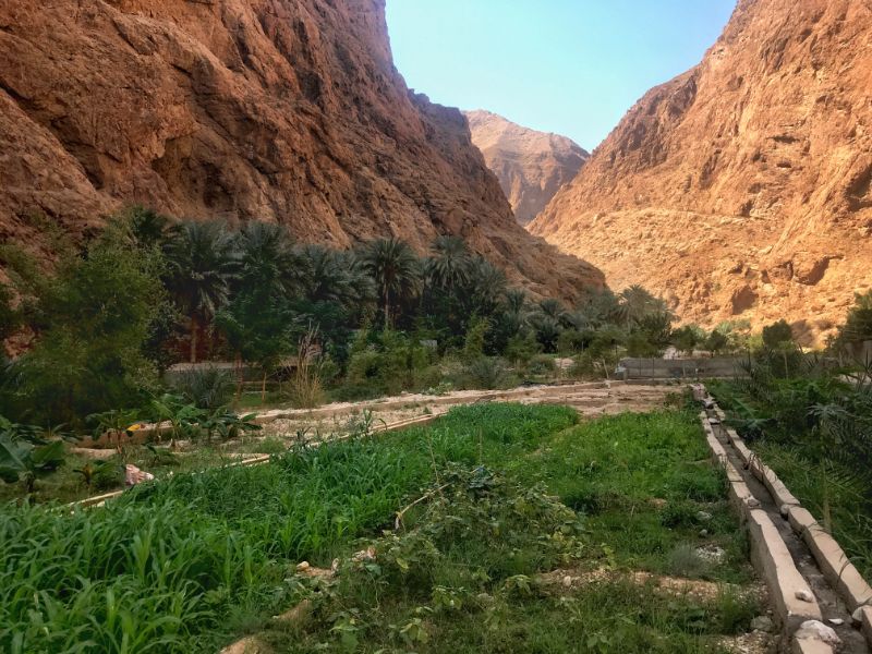 Lush gardens in Wadi Shab oman hiking
