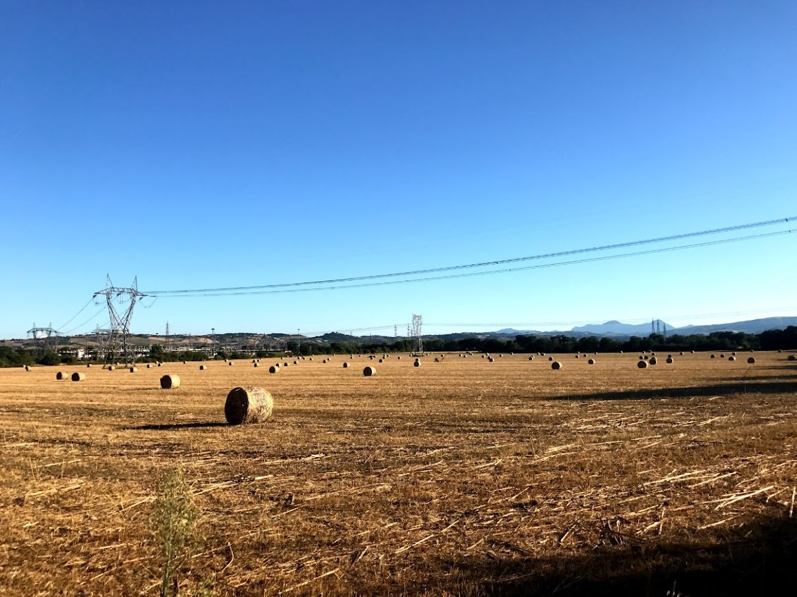 Wide fields, hay rolls, and electric cables in marche italy 