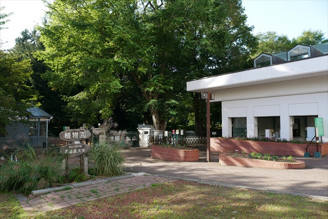 北海道大学 植物園