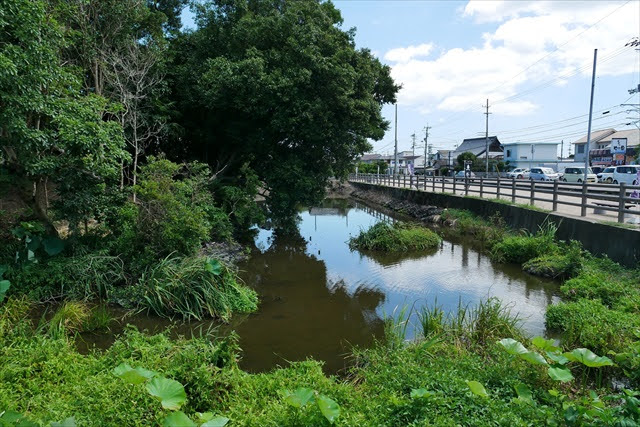 勝瑞城跡