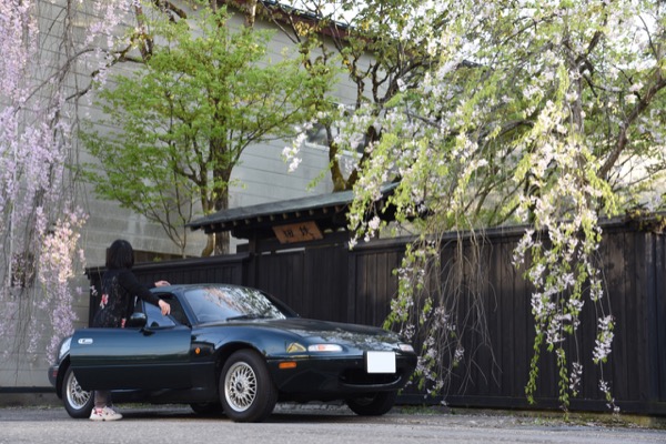 角館の枝垂れ桜とロードスター