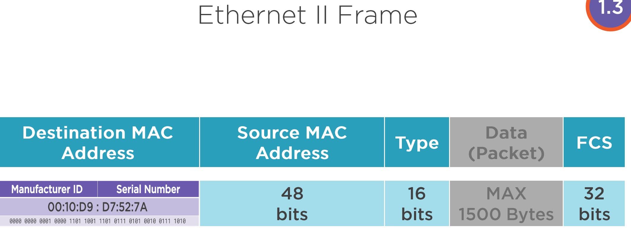 Destination MAC Address, Source MAC Address, Type, and FCS, these are all part of the Ethernet header.