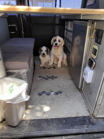 Переезд в Испанию с котиками-маскотиками или Навстречу ветру. Нулевой меридиан